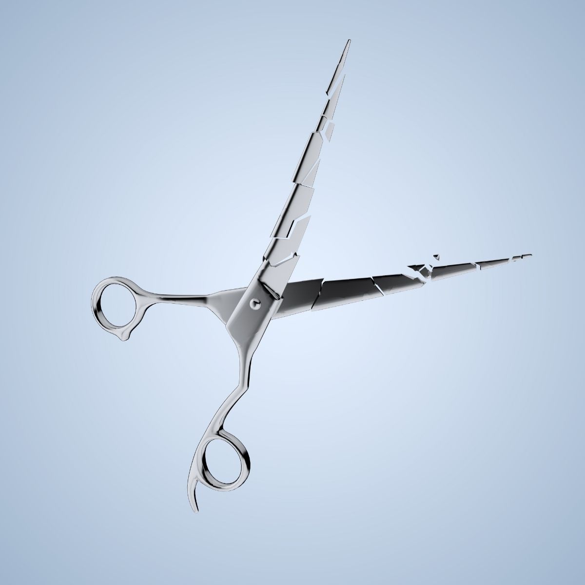 Broken Scissors from Juntetsu Shears